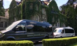 106793228_933397010420464_7779254028813203959_n