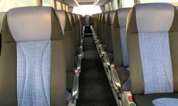 58462386_629841464109355_5498411123679952896_n